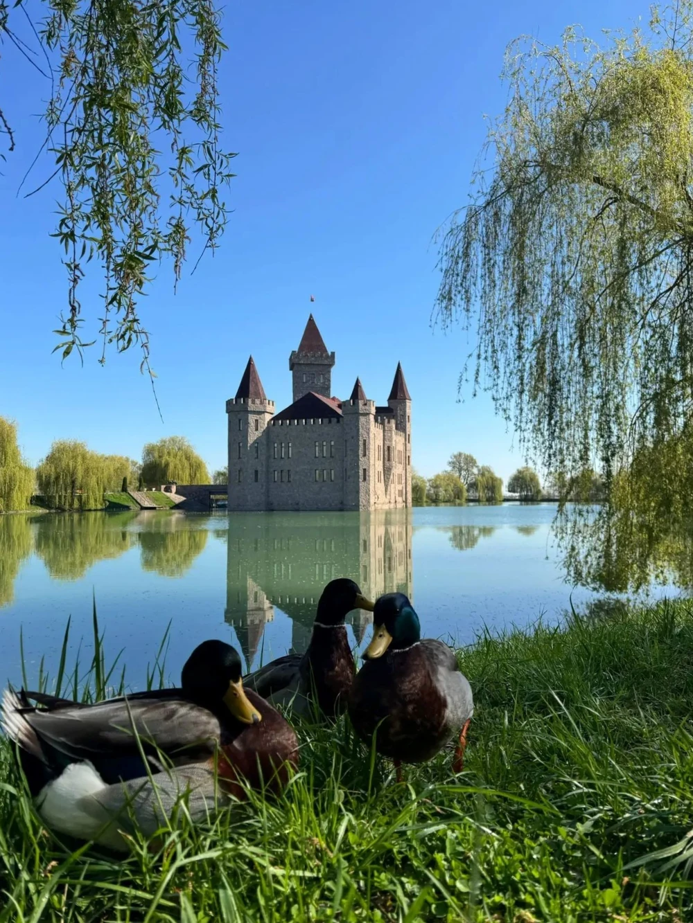 Красота — страшная сила: из Ессентуков в Кабардино-Балкарию — фото 3