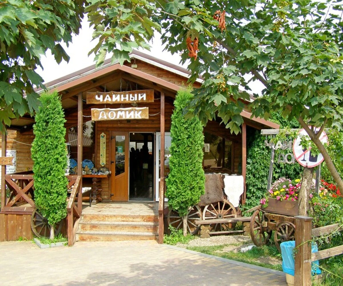 Активный день в окрестностях Кисловодска: зиплайн, Медовые водопады — фото 10