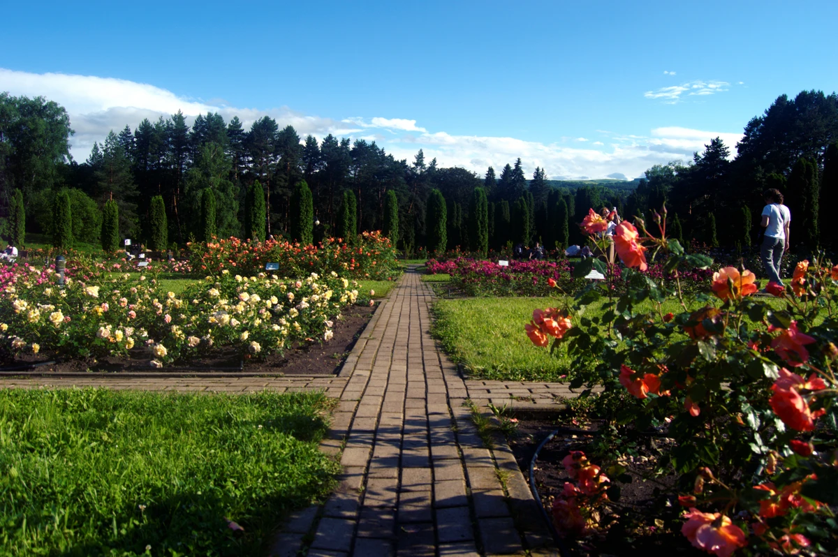 Курортный парк Кисловодска: Долина роз и панорамы Кавказа — фото 4