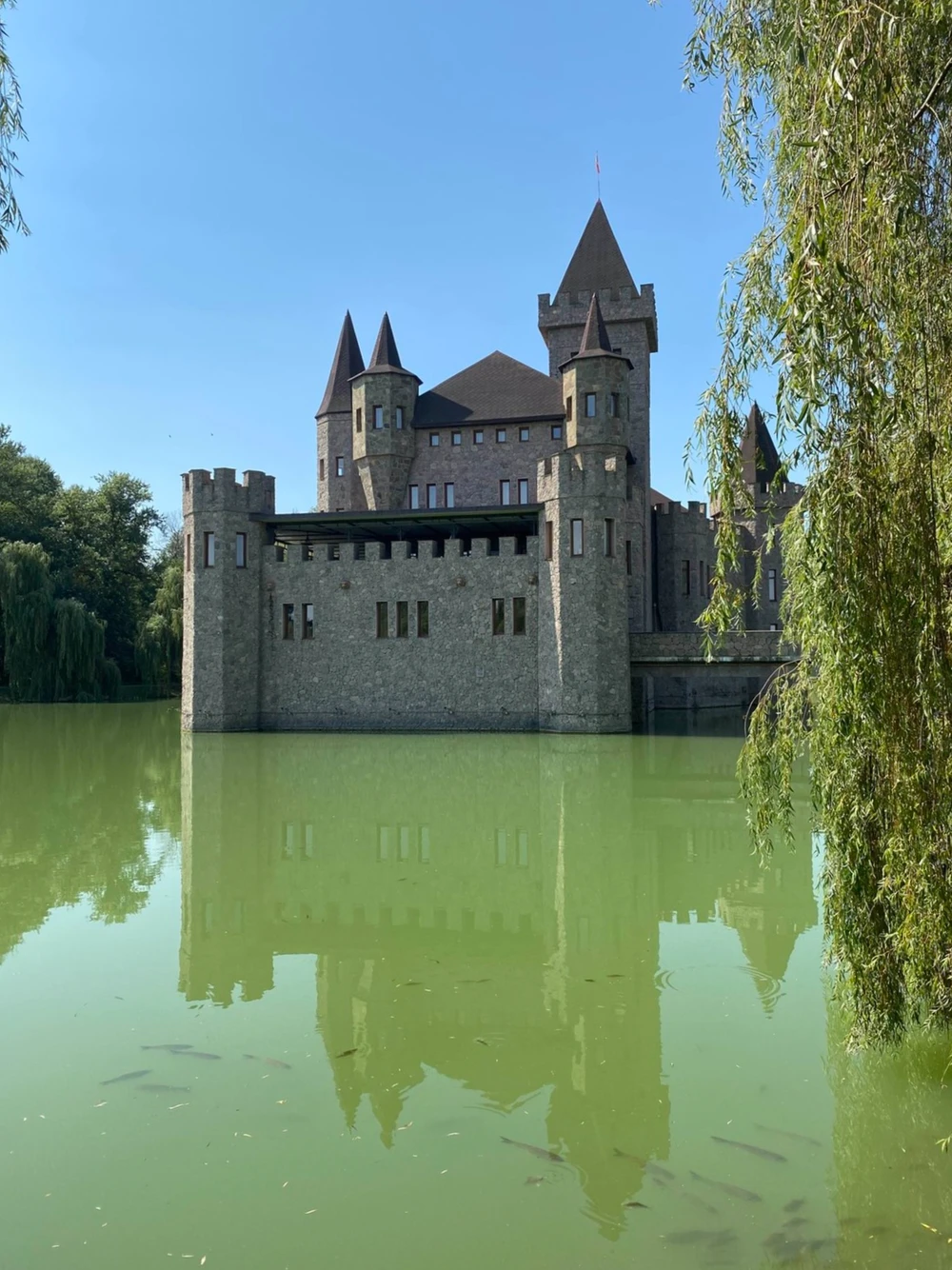 Язык тролля из Кисловодска — Скандинавия в сердце Кавказских гор — фото 5