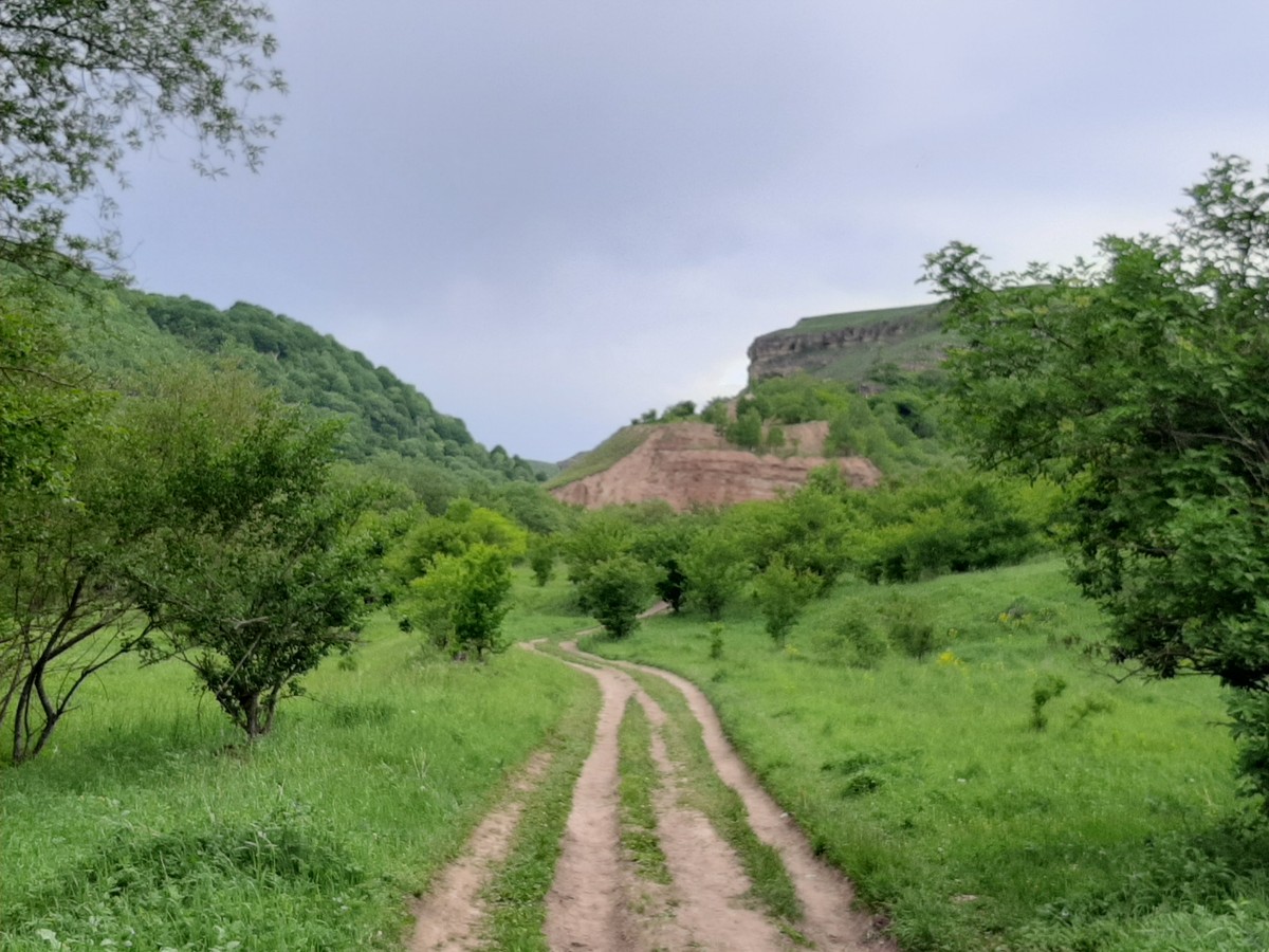Треккинг по ущелью реки Аликоновки к Медовым водопадам — фото 10