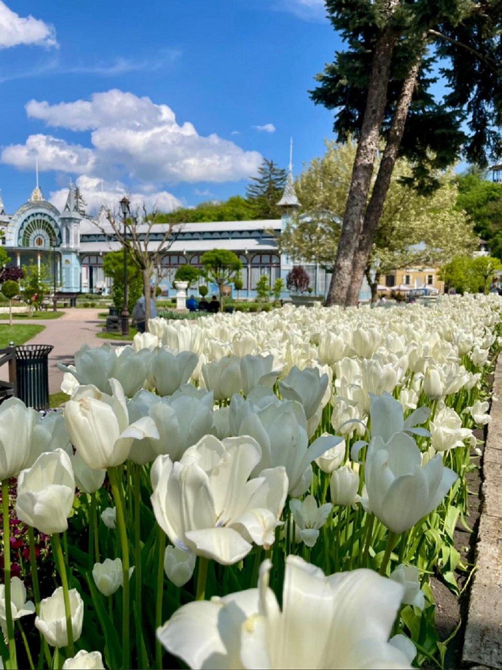 Из Кисловодска — по Пятигорску, Ессентукам и Железноводску — фото 4