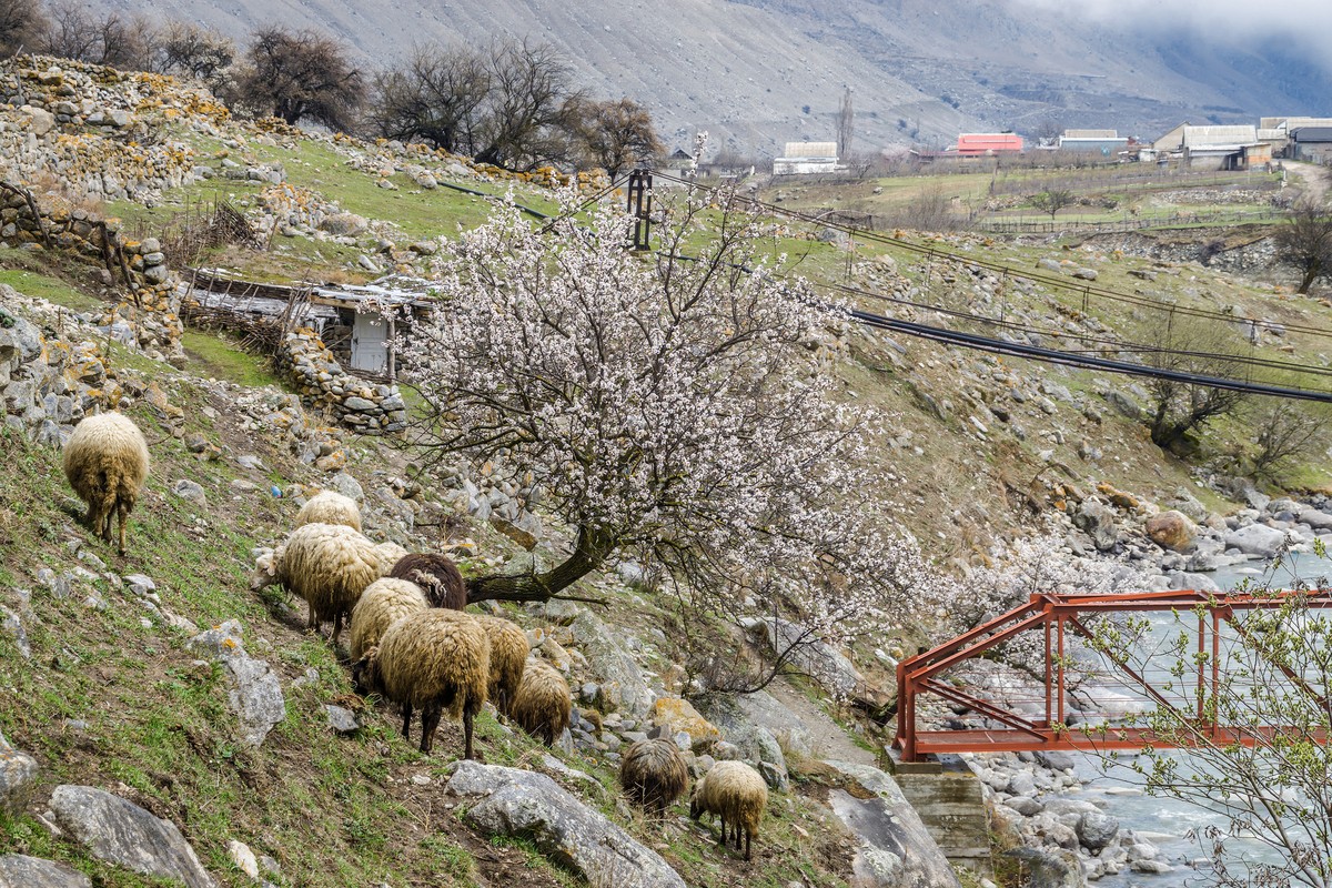 Незабываемая Верхняя Балкария: из Кисловодска в сердце Кавказа — фото 8