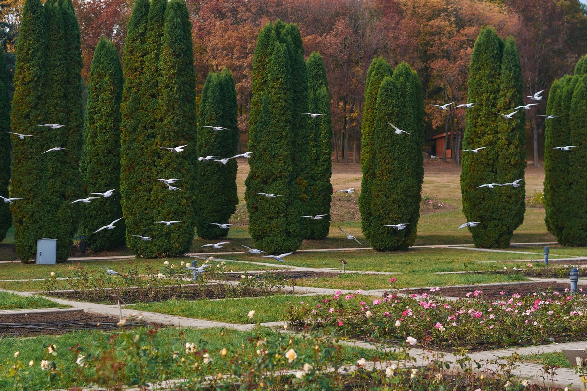 Кисловодск — город, который вас обманул — фото 7