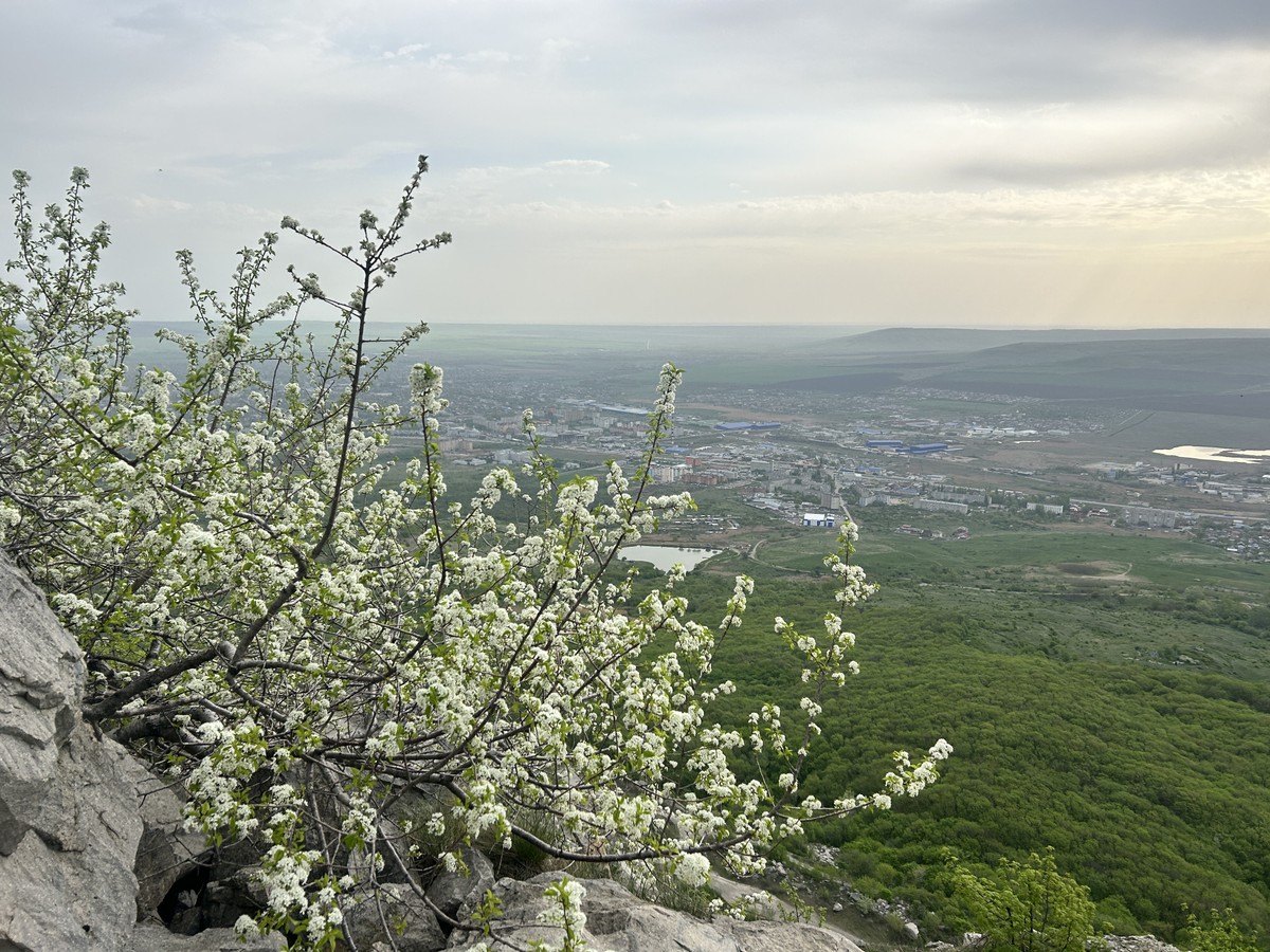 Восхождение на Змейку: панорамы, горы, самолёты — фото 8