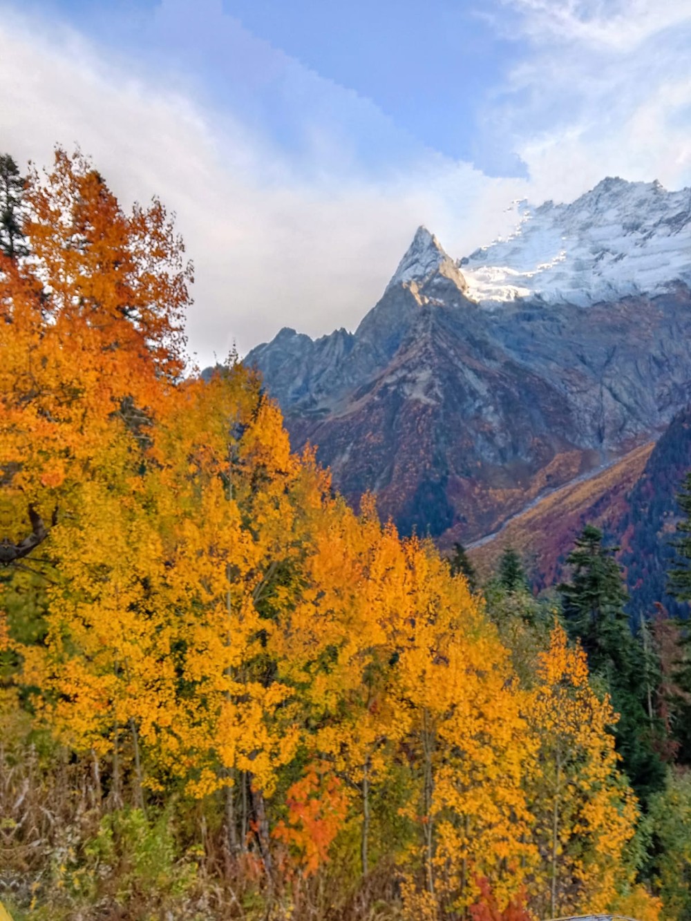 Групповая экскурсия в Домбай — к сердцу Кавказа — фото 11