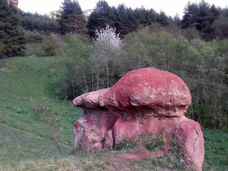 Неизведанные уголки Кисловодского парка — фото 8