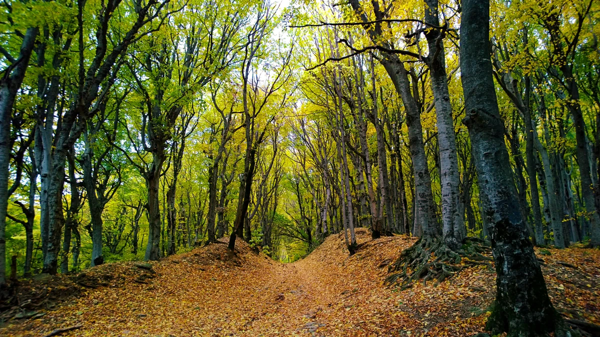 Пешком из Кисловодска к горе Малое Седло — фото 4