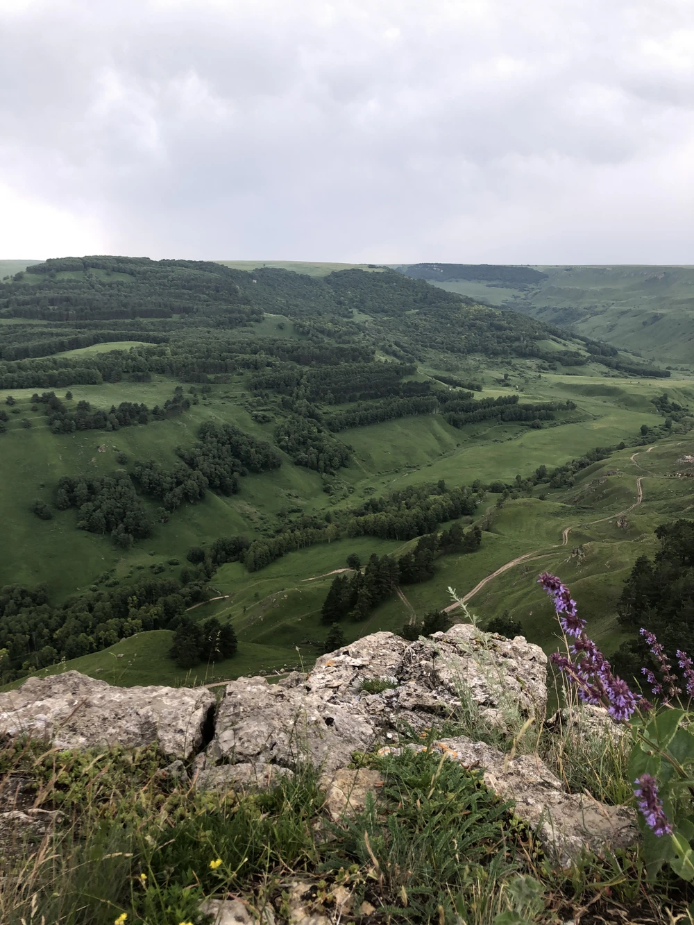 Конная прогулка в окрестностях Кисловодска — фото 6