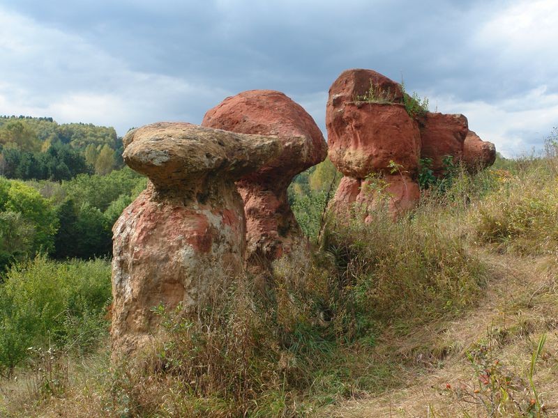 Неизведанные уголки Кисловодского парка — фото 4