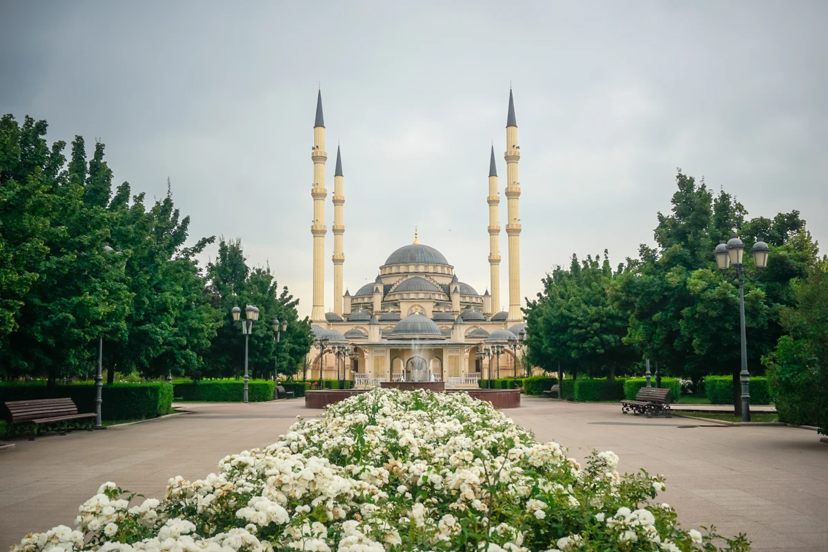 Знакомство с Чечнёй в мини-группе: Грозный, Шали, Аргун — фото 8